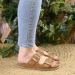 BIO Nomad - Imagen 5