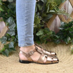 Cangrejera Aster - Imagen 5