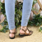 Cangrejera Aster - Imagen 2