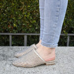 Mulé Sultán Champan