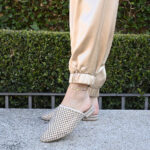 Mulé Sultán Champan - Imagen 5