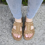 BIO Spirit - Imagen 3