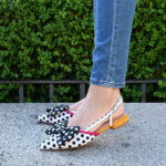 Zapato Polka
